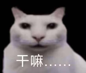 “没建模没经济”的“干嘛猫”，就不能收获属于自己的幸福吗？