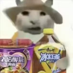 “没建模没经济”的“干嘛猫”，就不能收获属于自己的幸福吗？