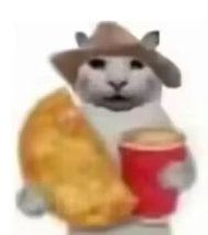 “没建模没经济”的“干嘛猫”，就不能收获属于自己的幸福吗？