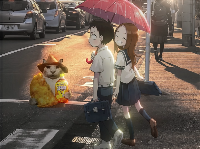 “没建模没经济”的“干嘛猫”，就不能收获属于自己的幸福吗？