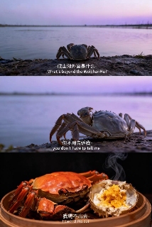 用AI生成的海边氛围三宫格，怎么内容变得越来越抽象了？