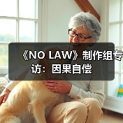 《NO LAW》制作组专访：因果自偿（图1）