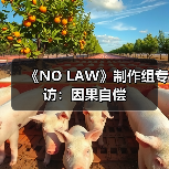 《NO LAW》制作组专访：因果自偿（图3）