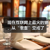 现在互联网上最火的猫，从“耄耋”变成了“萝卜纸巾猫”（图4）