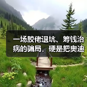 一场胶佬退坑、筹钱治病的骗局，硬是把奥迪双钻骗成了小丑（图1）