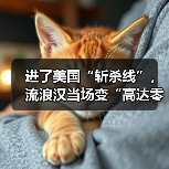 进了美国“斩杀线”，流浪汉当场变“高达零件”？（图4）