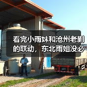 看完小雨妹和沧州老蒯的联动，东北雨姐没必要转世复活了（图4）
