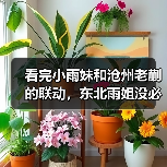 看完小雨妹和沧州老蒯的联动，东北雨姐没必要转世复活了（图1）
