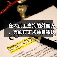 在大街上当狗的外国人,真的有了犬类自我认同?(图2) 在大街上当狗的外国人,真的有了犬类自我认同?(图2)