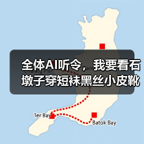 全体AI听令，我要看石墩子穿短袜黑丝小皮靴（图4）