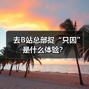 去B站总部捉“只因”是什么体验？（图1）