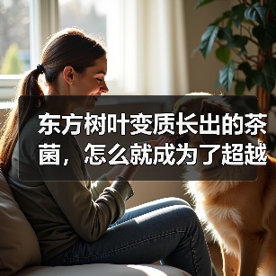 东方树叶变质长出的茶菌，怎么就成为了超越哈基米的宠物界顶流？（图1）
