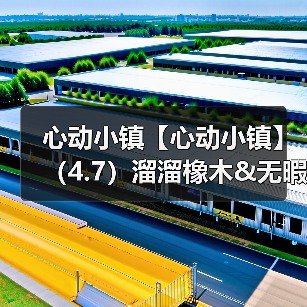 心动小镇【心动小镇】（4.7）溜溜橡木&无暇萤石（图1）
