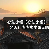 心动小镇【心动小镇】（4.6）溜溜橡木&无暇萤石（图3）