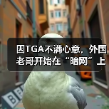 因TGA不满心意，外国老哥开始在“暗网”上召唤邪神？（图3）