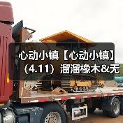 心动小镇【心动小镇】（4.11）溜溜橡木&无暇萤石（图1）