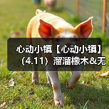 心动小镇【心动小镇】（4.11）溜溜橡木&无暇萤石（图4）