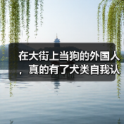 在大街上当狗的外国人，真的有了犬类自我认同？（图1）