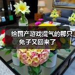给国产游戏提气的那只兔子又回来了（图2）