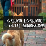 心动小镇【心动小镇】（4.15）溜溜橡木&无暇萤石（图1）