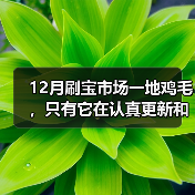 12月刷宝市场一地鸡毛，只有它在认真更新和撒钱（图3）
