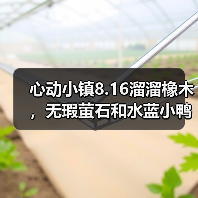 心动小镇8.16溜溜橡木，无瑕萤石和水蓝小鸭子位置（图4）