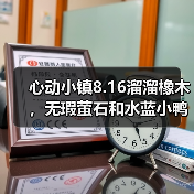 心动小镇8.16溜溜橡木，无瑕萤石和水蓝小鸭子位置（图1）