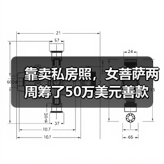 靠卖私房照，女菩萨两周筹了50万美元善款（图4）