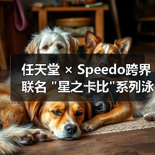 任天堂 × Speedo跨界联名 任天堂 × Speedo跨界联名