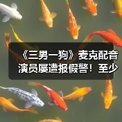 《三男一狗》麦克配音演员屡遭报假警！至少发生八次（图3）