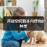 开放空间副本内怪物的种类（图1）