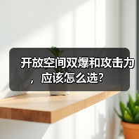 开放空间双爆和攻击力,应该怎么选?(图4) 开放空间双爆和攻击力,应该怎么选?(图4)