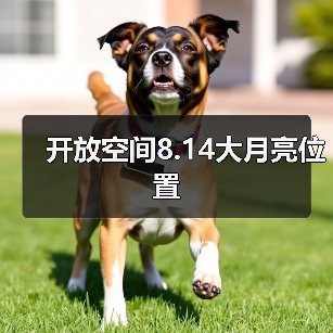开放空间8.14大月亮位置（图1）