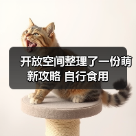 开放空间整理了一份萌新攻略 自行食用（图1）