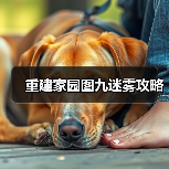 重建家园图九迷雾攻略(图2) 重建家园图九迷雾攻略(图2)