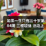 如果一生只有三十岁第84周 三根项链 活动上线(图4) 如果一生只有三十岁第84周 三根项链 活动上线(图4)