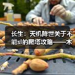 长生:天机降世关于不能sl的爬塔攻略——木塔篇(图3) 长生:天机降世关于不能sl的爬塔攻略——木塔篇(图3)