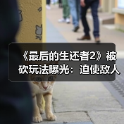 《最后的生还者2》被砍玩法曝光：迫使敌人举手投降（图1）