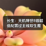 长生:天机降世8级超低配置过主线双生魔(图3) 长生:天机降世8级超低配置过主线双生魔(图3)