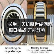 长生:天机降世轮回境 每日挑战 万能阵容(图3) 长生:天机降世轮回境 每日挑战 万能阵容(图3)