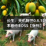 长生:天机降世0.8.1版本最终BOSS【张钊】毒队打法(图3) 长生:天机降世0.8.1版本最终BOSS【张钊】毒队打法(图3)