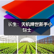 长生:天机降世新手小贴士(图2) 长生:天机降世新手小贴士(图2)