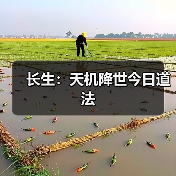 长生:天机降世今日道法(图1) 长生:天机降世今日道法(图1)