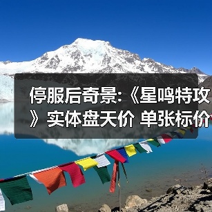 停服后奇景:《星鸣特攻》实体盘天价 单张标价35欧元（图2）