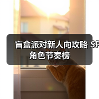 盲盒派对新人向攻略 SP角色节奏榜(图1) 盲盒派对新人向攻略 SP角色节奏榜(图1)
