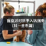 盲盒派对新手入坑指南(其一金币篇)(图1) 盲盒派对新手入坑指南(其一金币篇)(图1)