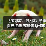 《宝可梦：风/浪》子页面已注册 或暗示新作即将公布（图4）