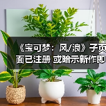 《宝可梦：风/浪》子页面已注册 或暗示新作即将公布