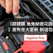 《醉醺醺 兔兔秘密花园》发布重大更新 新增功能可一览少女裙底(图3) 《醉醺醺 兔兔秘密花园》发布重大更新 新增功能可一览少女裙底(图3)