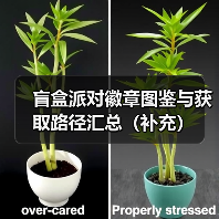 盲盒派对徽章图鉴与获取路径汇总(补充)(图3) 盲盒派对徽章图鉴与获取路径汇总(补充)(图3)